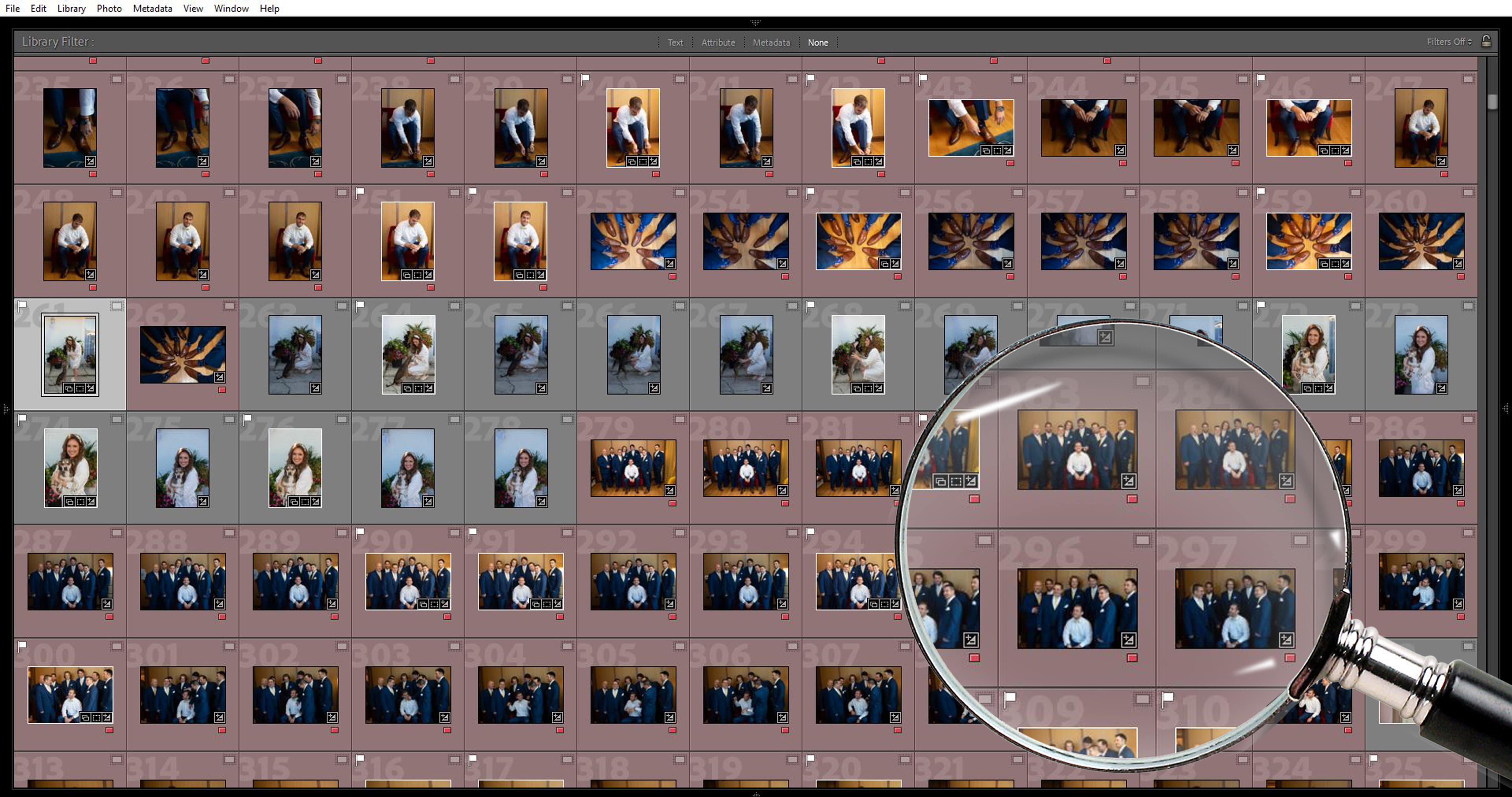 Image Culling Example